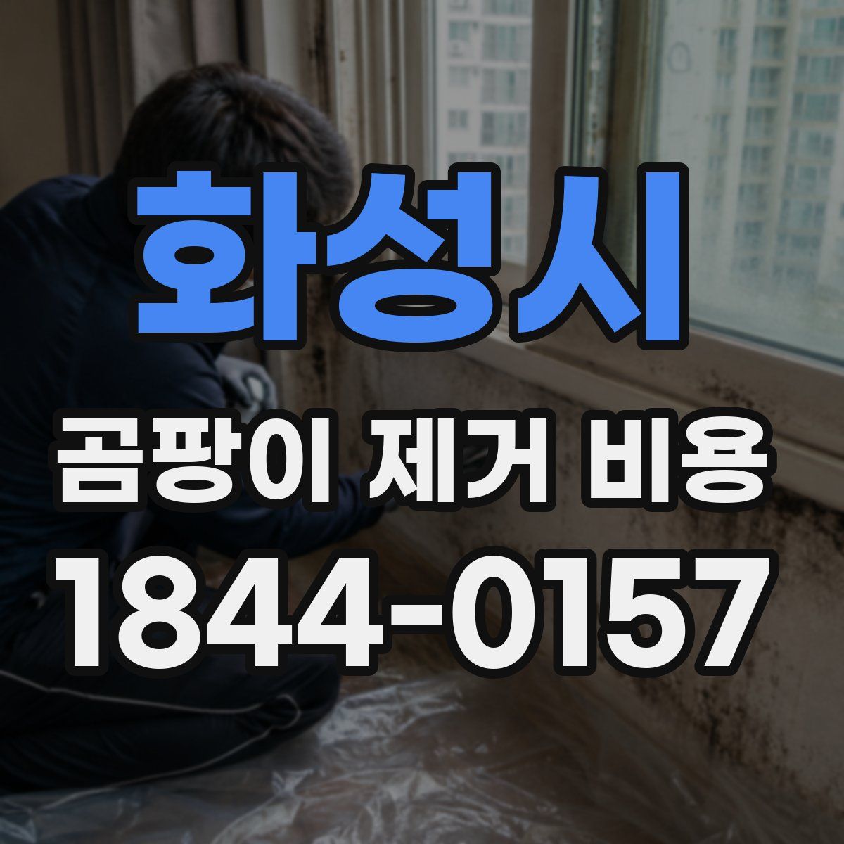화성시 곰팡이 제거 비용
