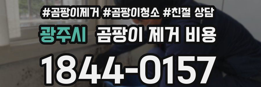 광주시 곰팡이 제거 비용