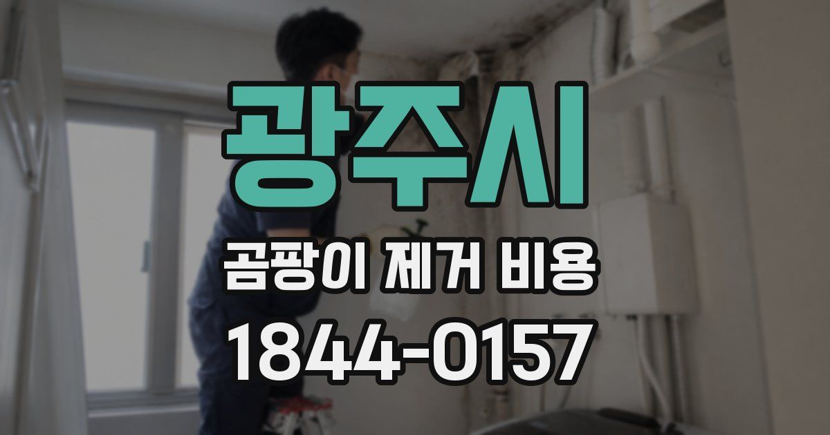 광주시 곰팡이 제거 비용