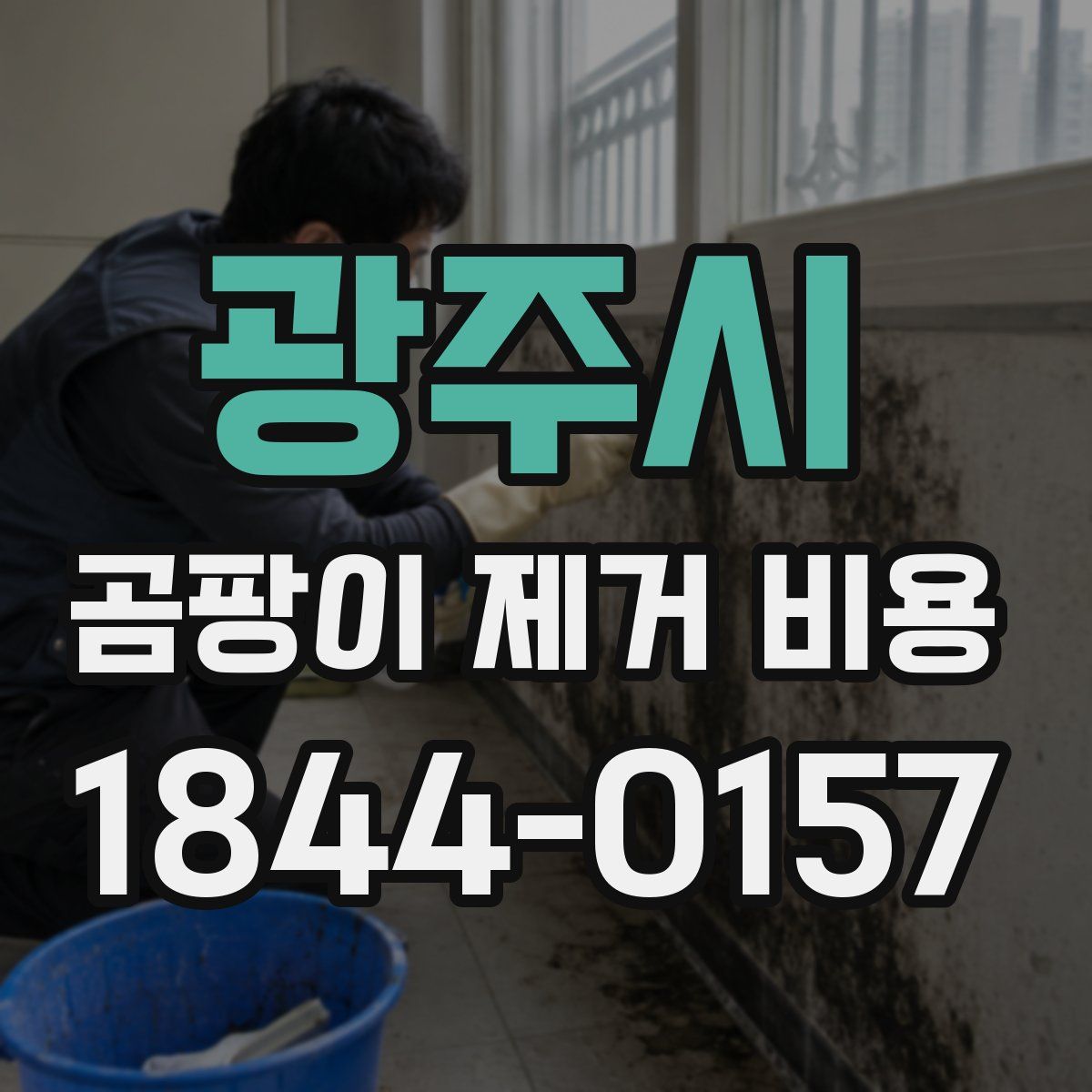 광주시 곰팡이 제거 비용