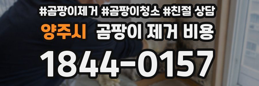 양주시 곰팡이 제거 비용