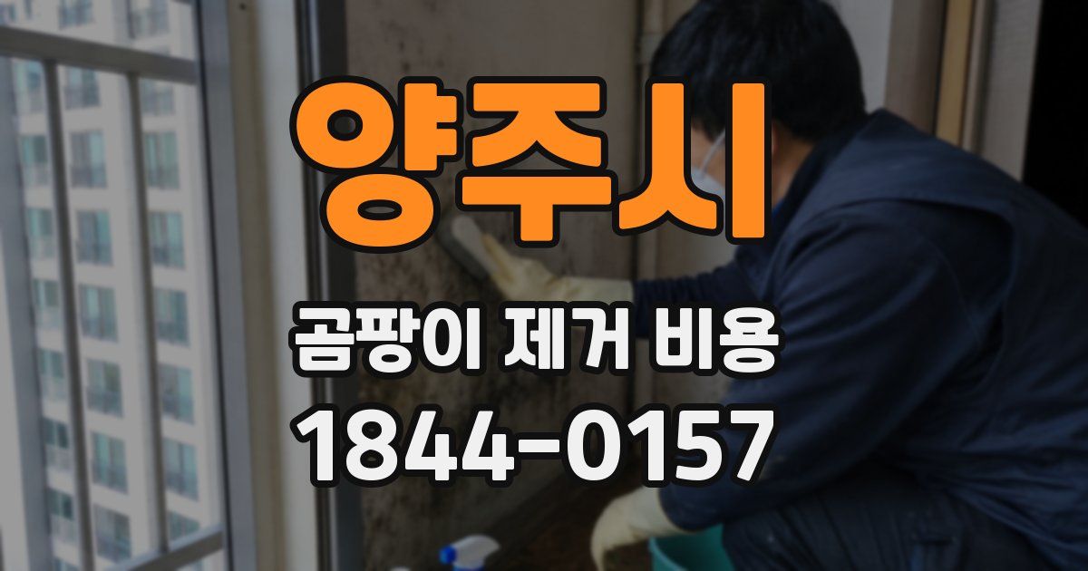 양주시 곰팡이 제거 비용