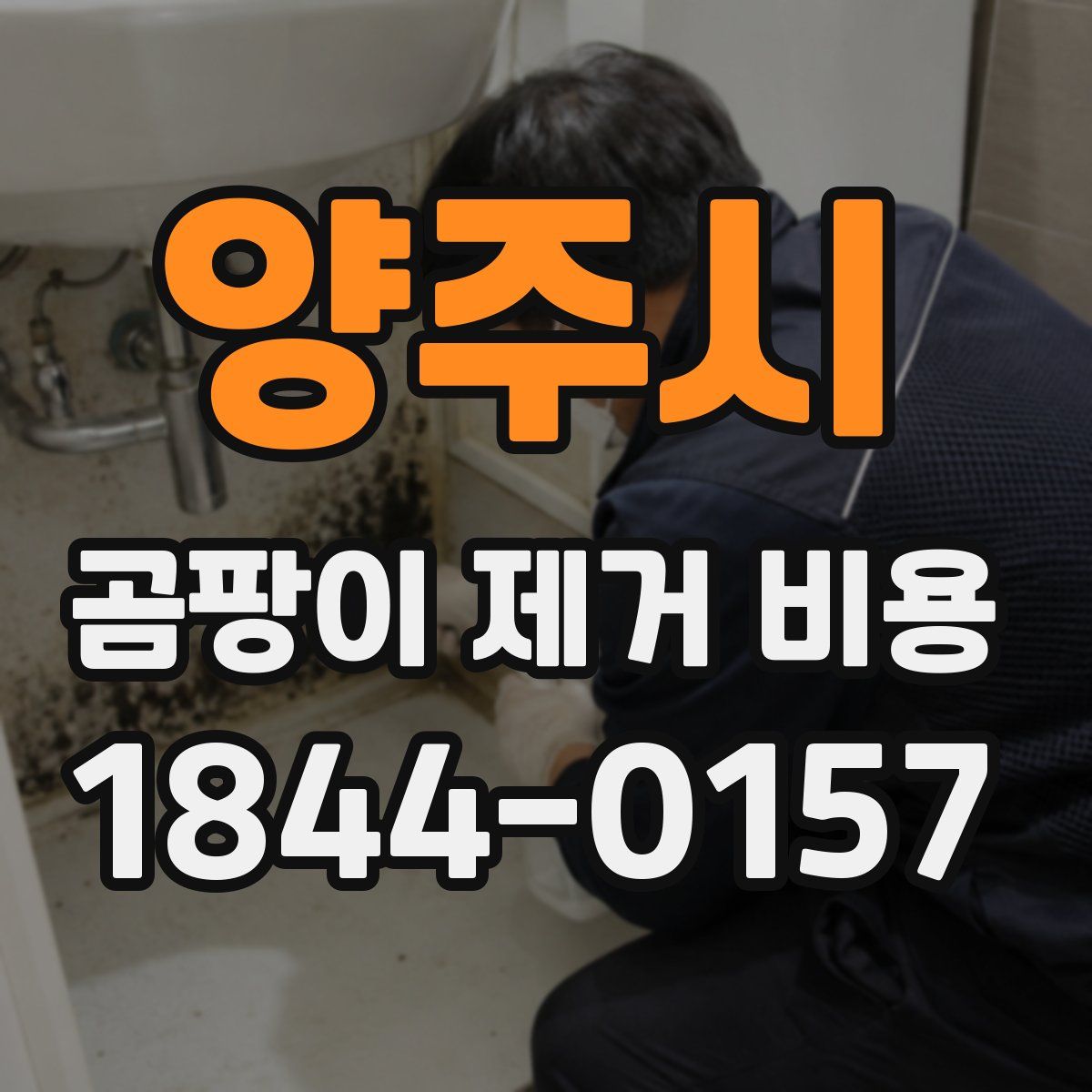 양주시 곰팡이 제거 비용