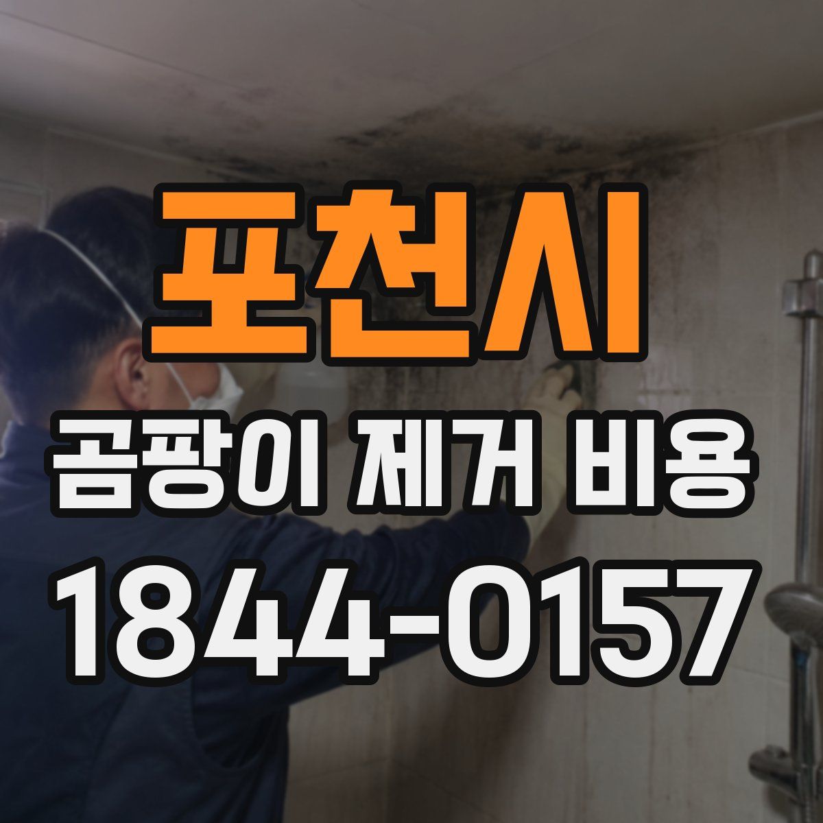포천시 곰팡이 제거 비용