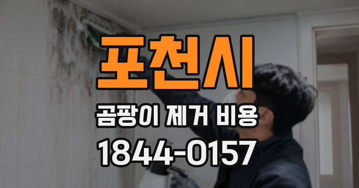 포천시 곰팡이 제거 비용