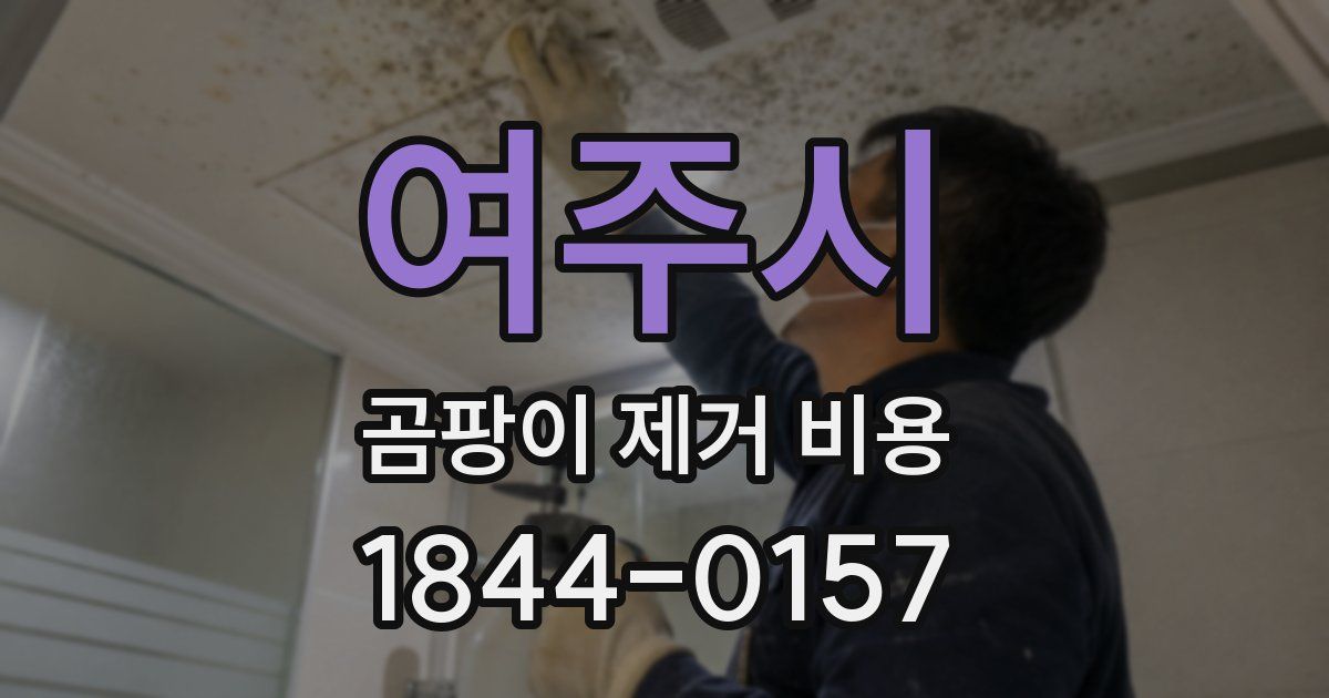 여주시 곰팡이 제거 비용