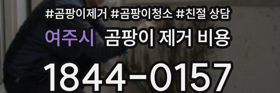 여주시 곰팡이 제거 비용