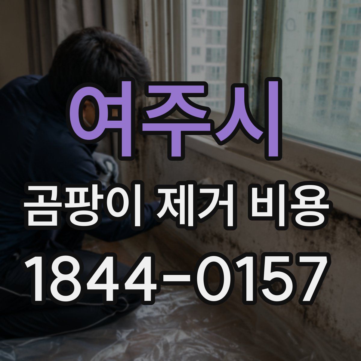 여주시 곰팡이 제거 비용