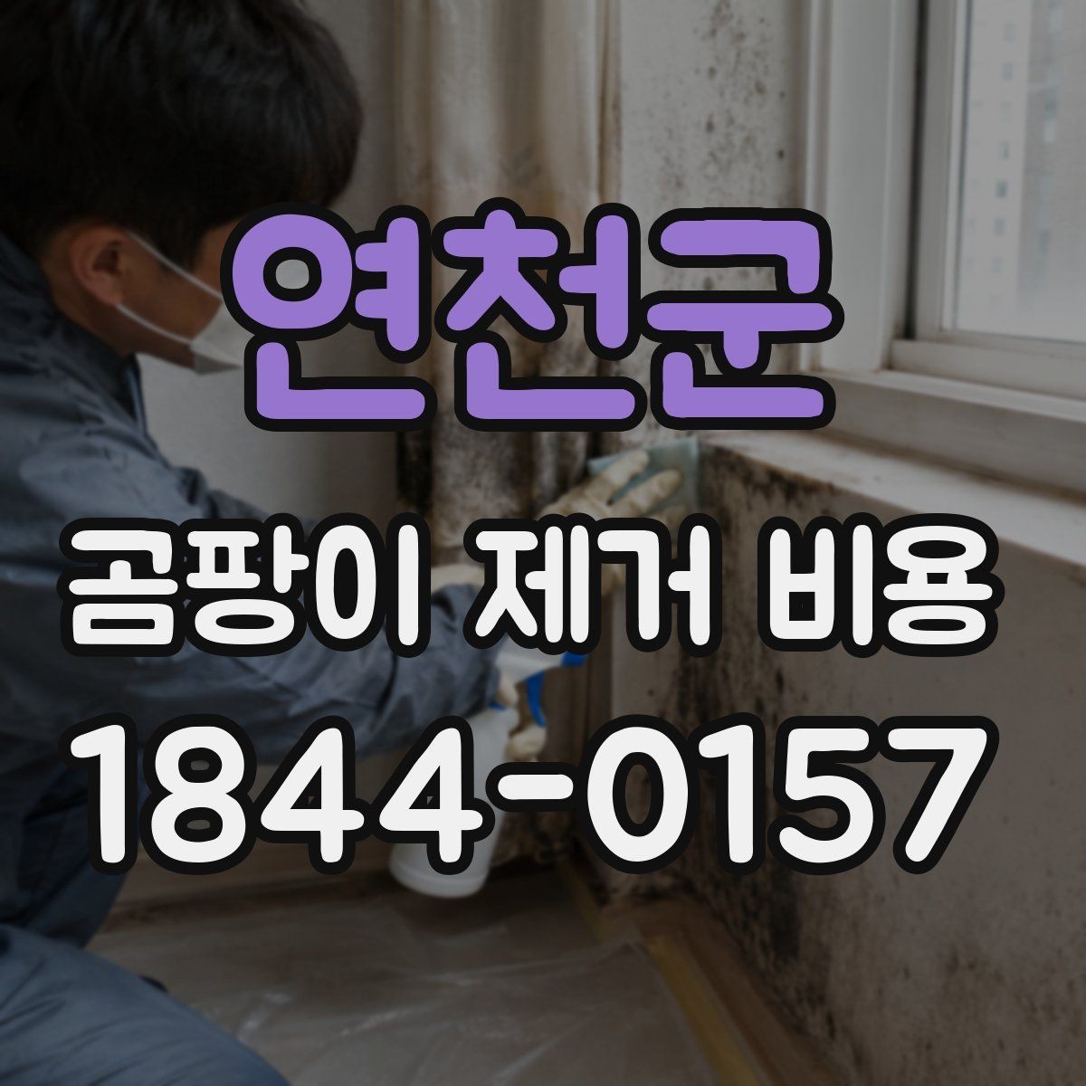 연천군 곰팡이 제거 비용 산정 방식과 체크포인트