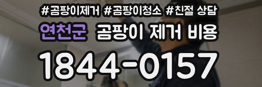 연천군 곰팡이 제거 비용