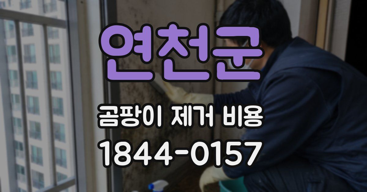 연천군 곰팡이 제거 비용