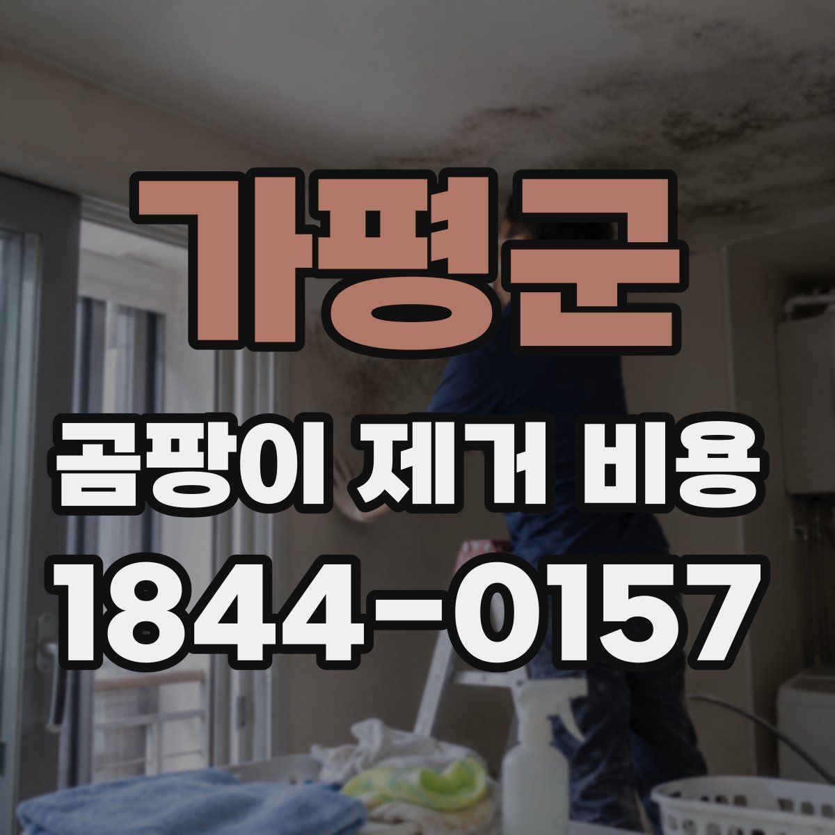 가평군 곰팡이 제거 비용 알아볼 때 실내 상태를 설명하는 법