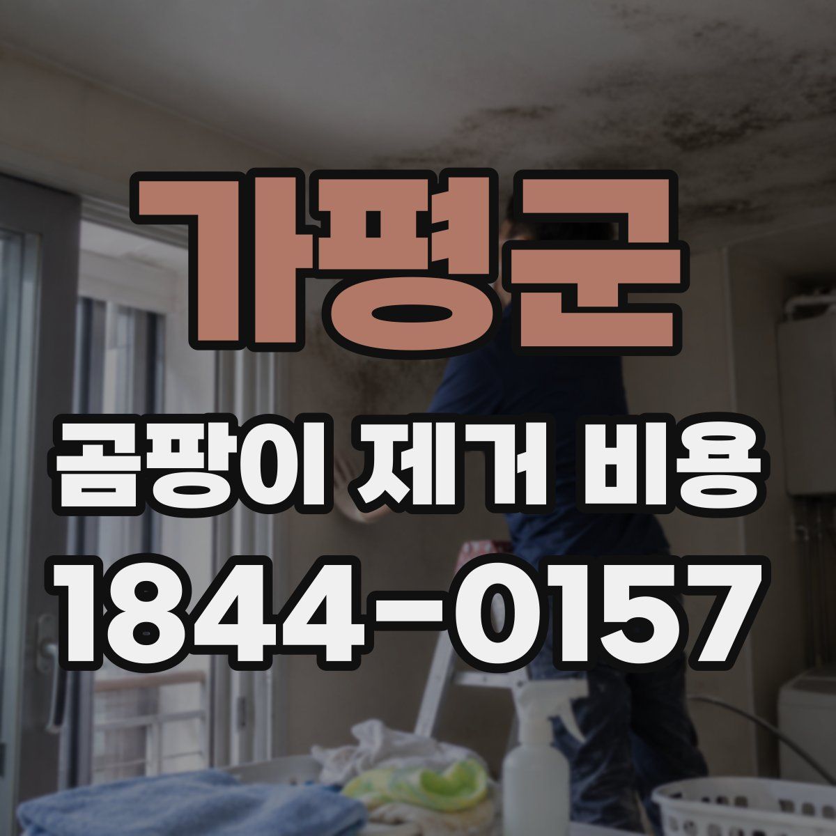 가평군 곰팡이 제거 비용