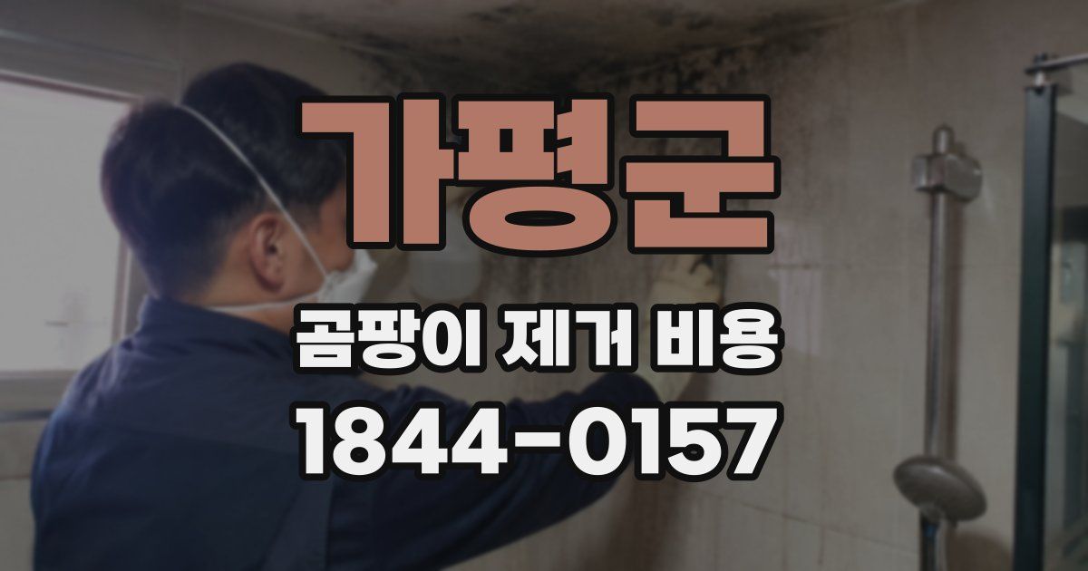 가평군 곰팡이 제거 비용
