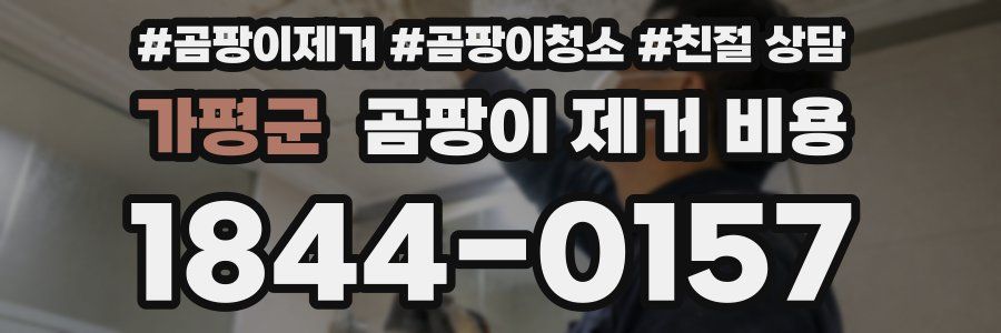 가평군 곰팡이 제거 비용