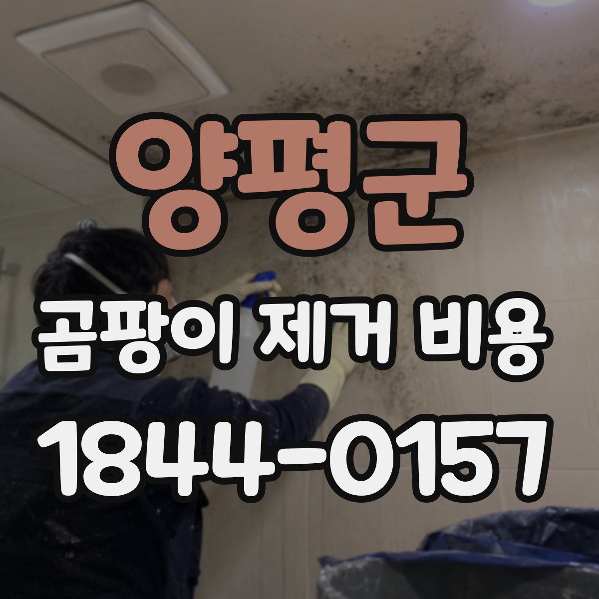 양평군 곰팡이 제거 비용