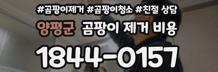 양평군 곰팡이 제거 비용