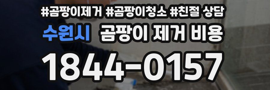 수원시 곰팡이 제거 비용