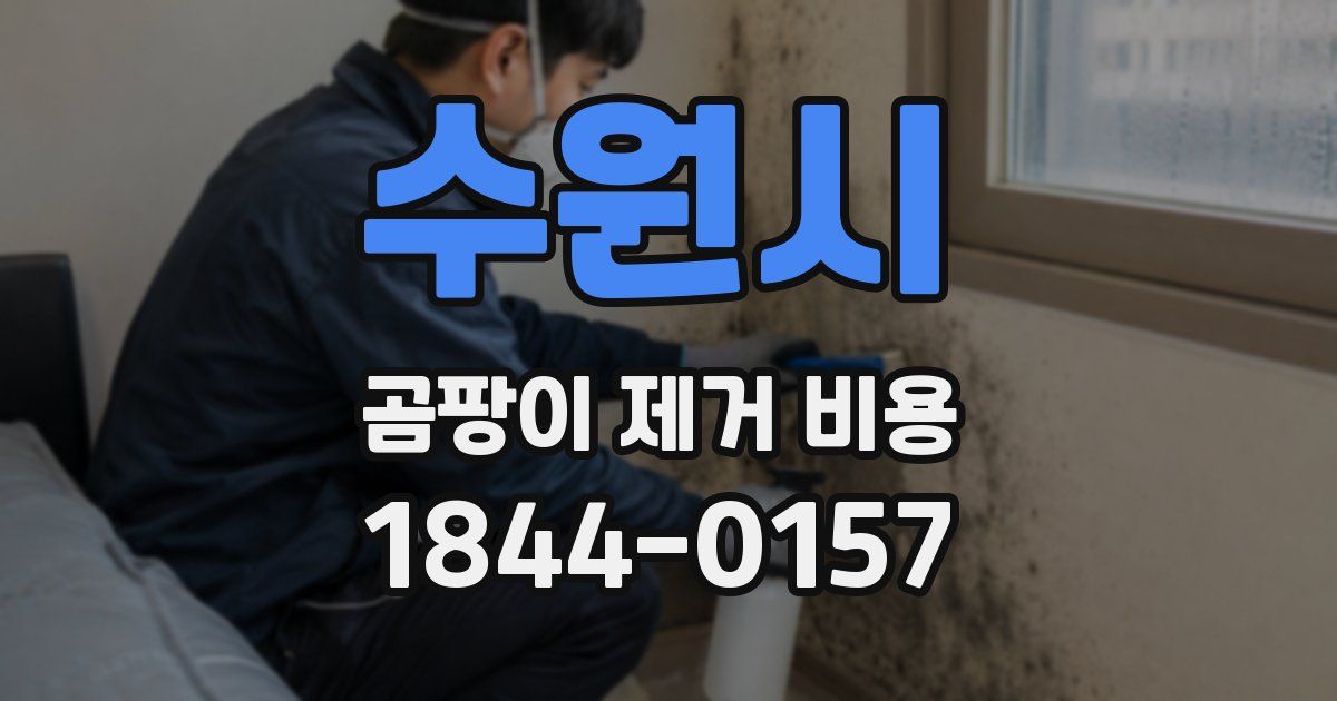 수원시 곰팡이 제거 비용