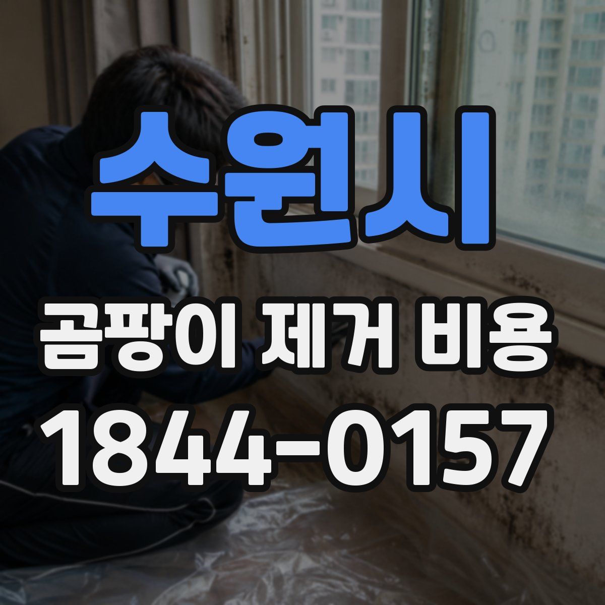 수원시 곰팡이 제거 비용