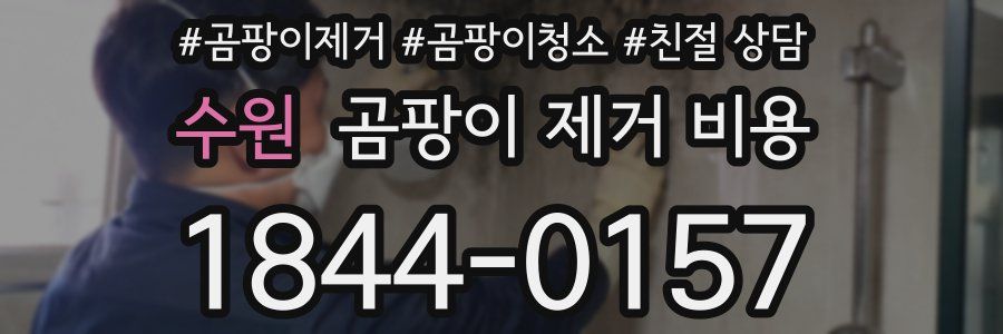 수원 곰팡이 제거 비용