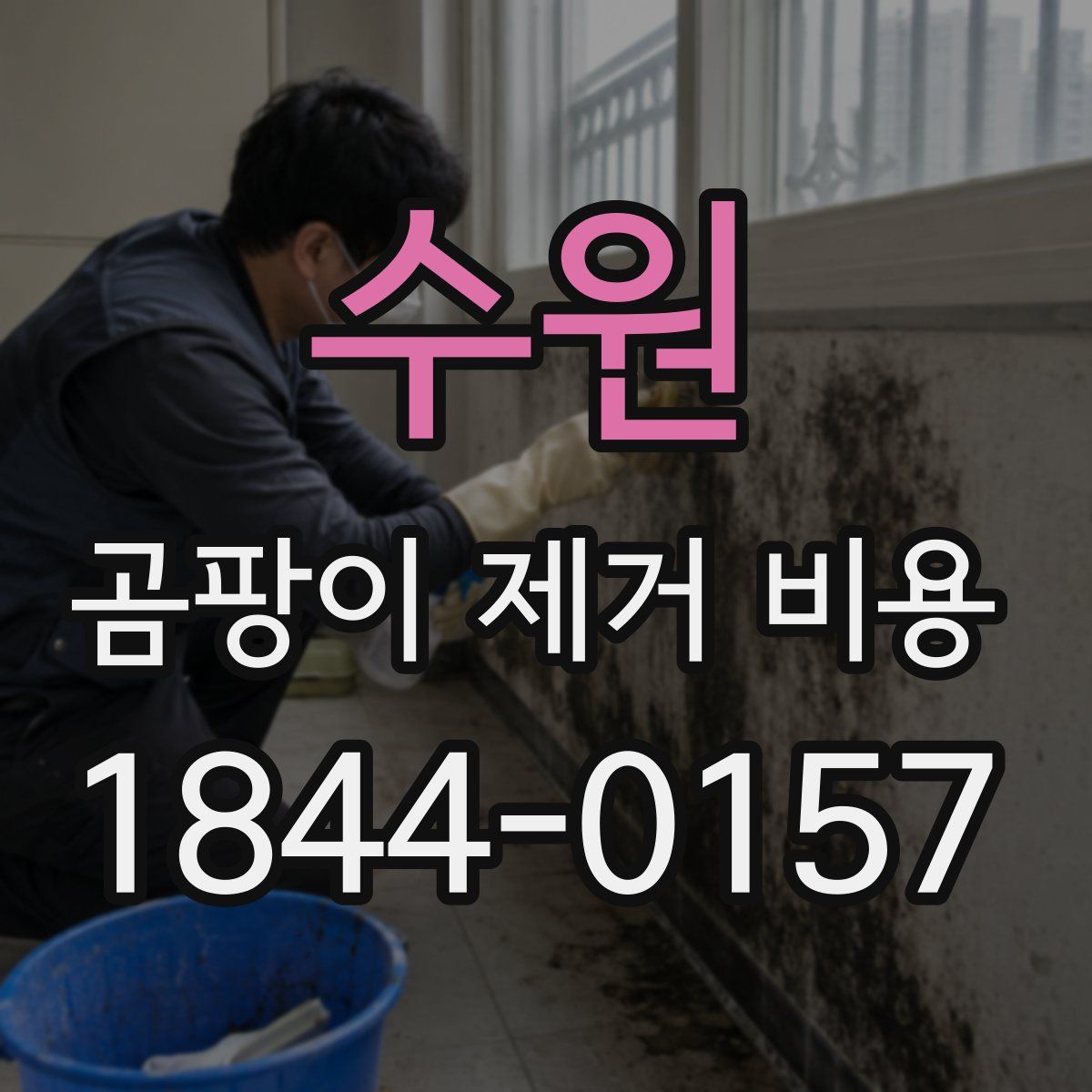 수원 곰팡이 제거 비용