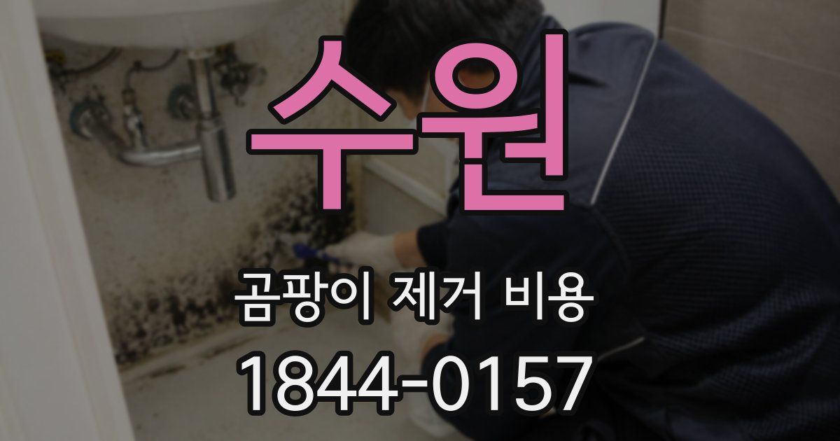 수원 곰팡이 제거 비용