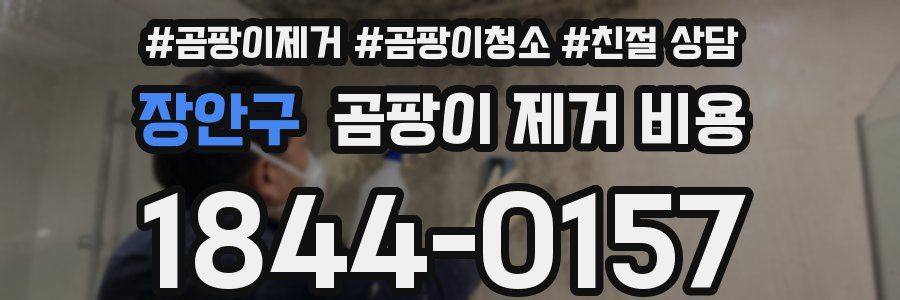 장안구 곰팡이 제거 비용