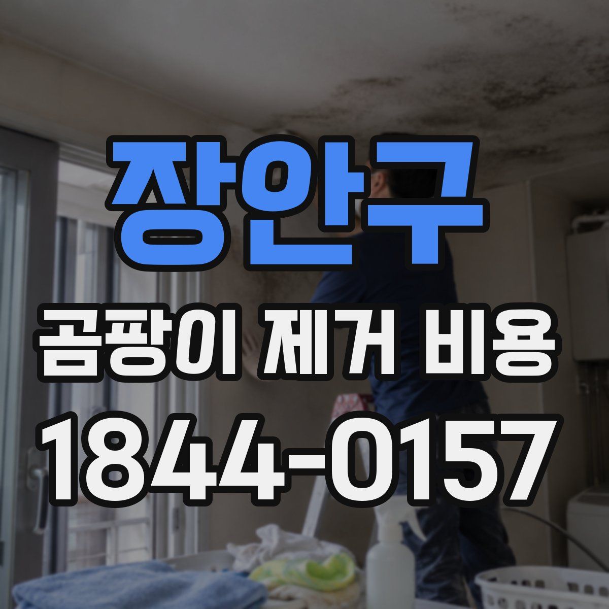 장안구 곰팡이 제거 비용