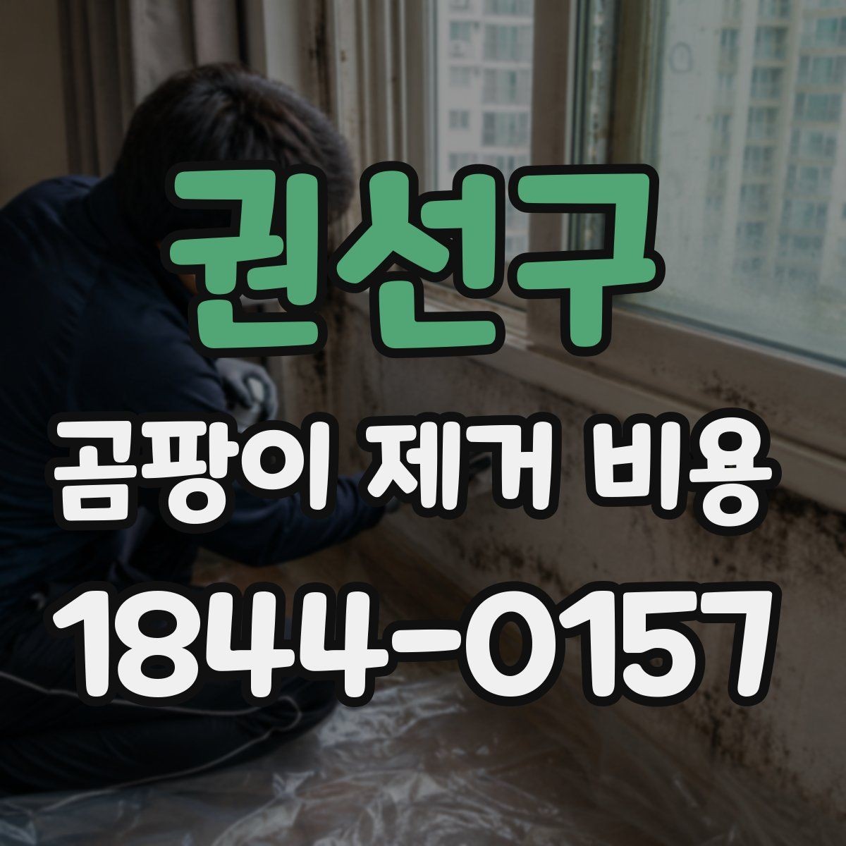 권선구 곰팡이 제거 비용 견적 비교할 때 체크할 핵심 항목