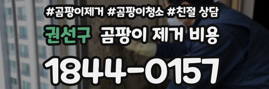 권선구 곰팡이 제거 비용