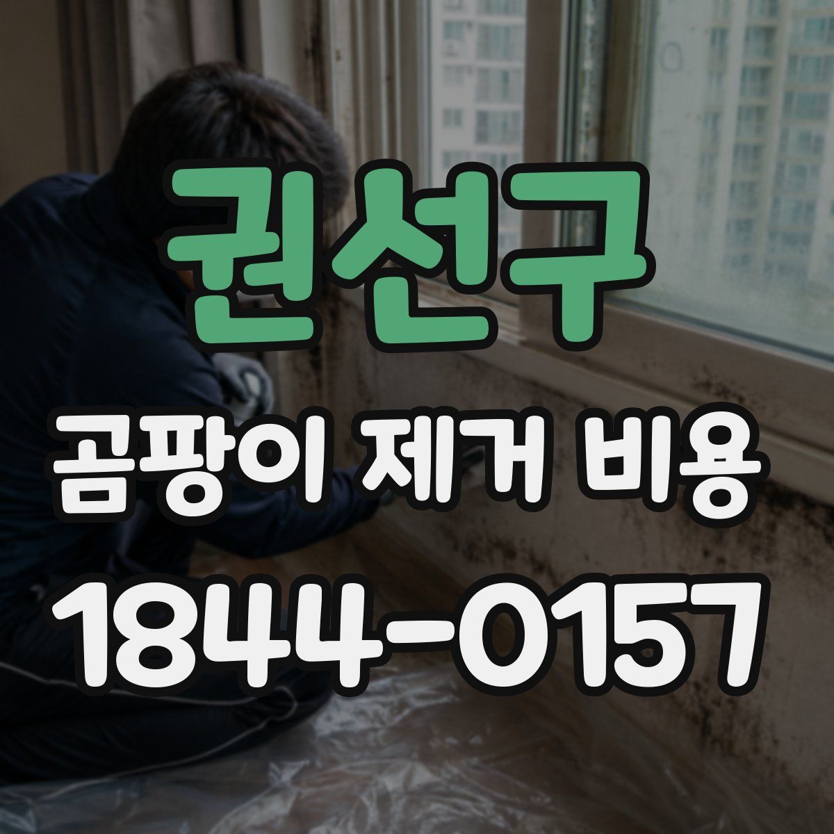 권선구 곰팡이 제거 비용