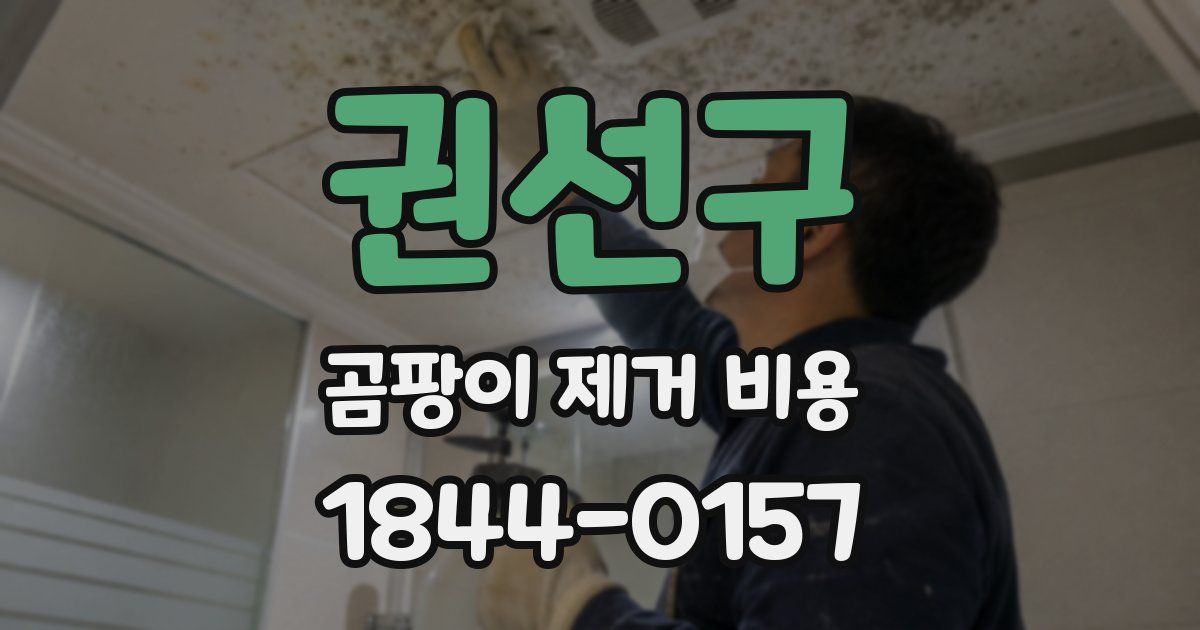 권선구 곰팡이 제거 비용