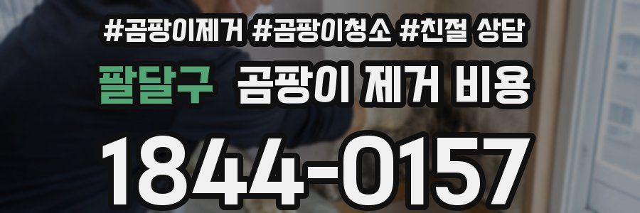 팔달구 곰팡이 제거 비용