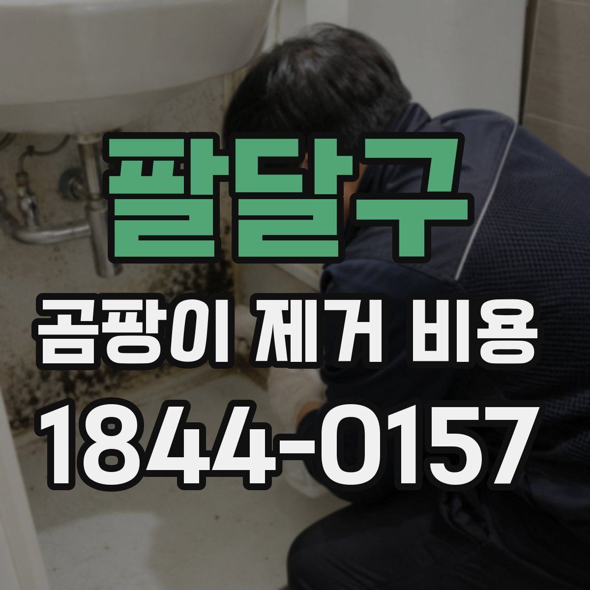 팔달구 곰팡이 제거 비용