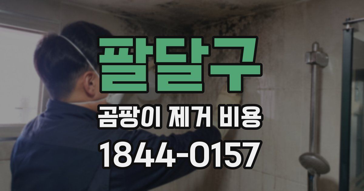팔달구 곰팡이 제거 비용