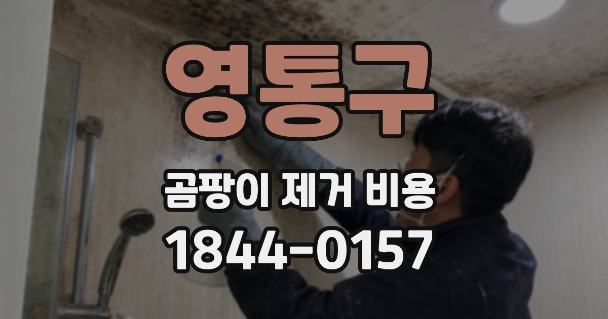 영통구 곰팡이 제거 비용