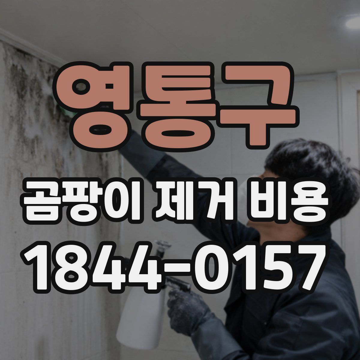 영통구 곰팡이 제거 비용