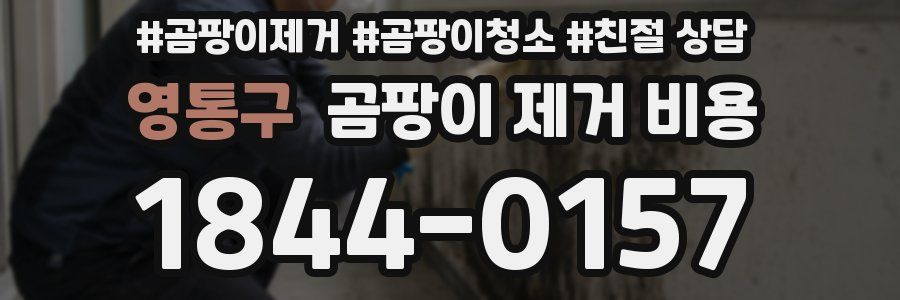 영통구 곰팡이 제거 비용