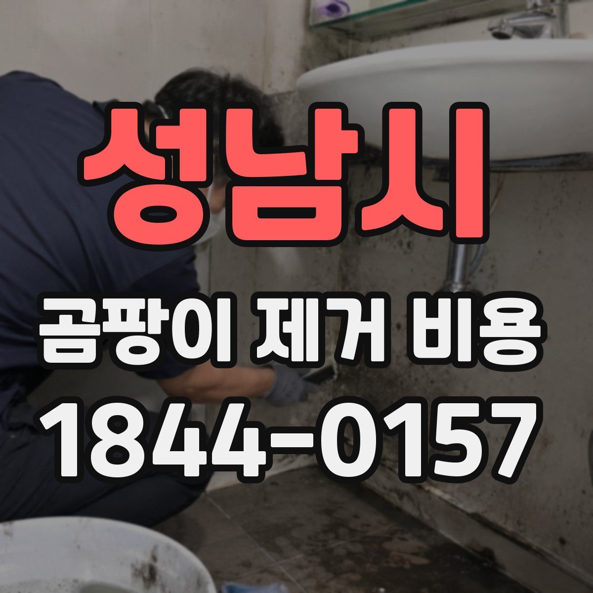 성남시 곰팡이 제거 비용