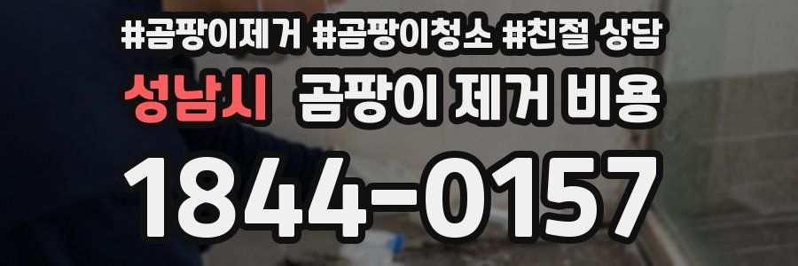 성남시 곰팡이 제거 비용