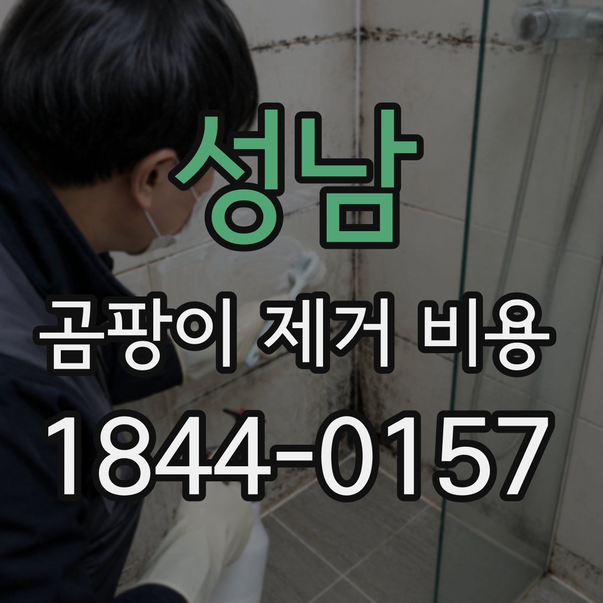 성남 곰팡이 제거 비용