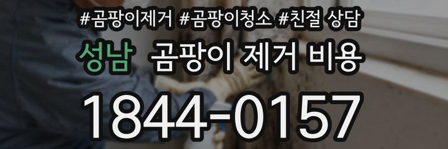 성남 곰팡이 제거 비용