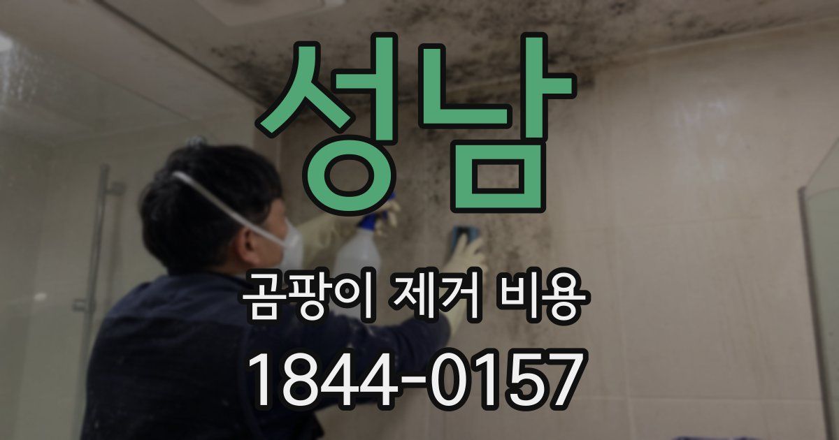 성남 곰팡이 제거 비용