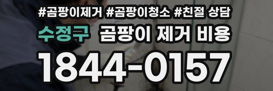 수정구 곰팡이 제거 비용