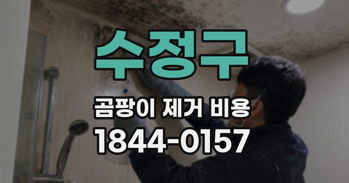 수정구 곰팡이 제거 비용