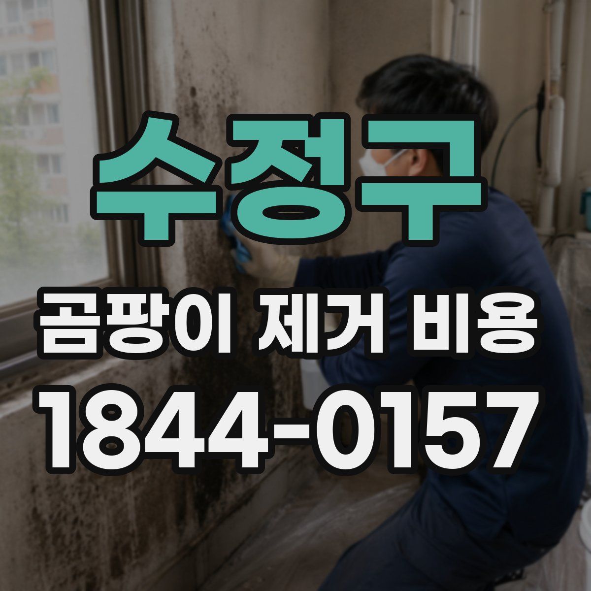 수정구 곰팡이 제거 비용