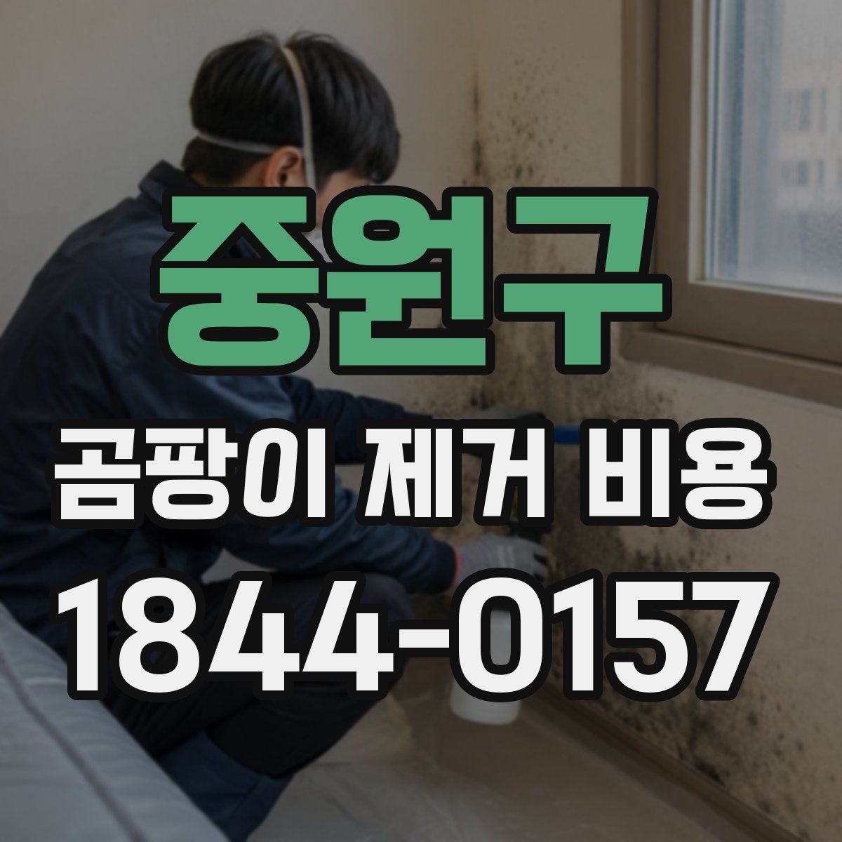 중원구 곰팡이 제거 비용