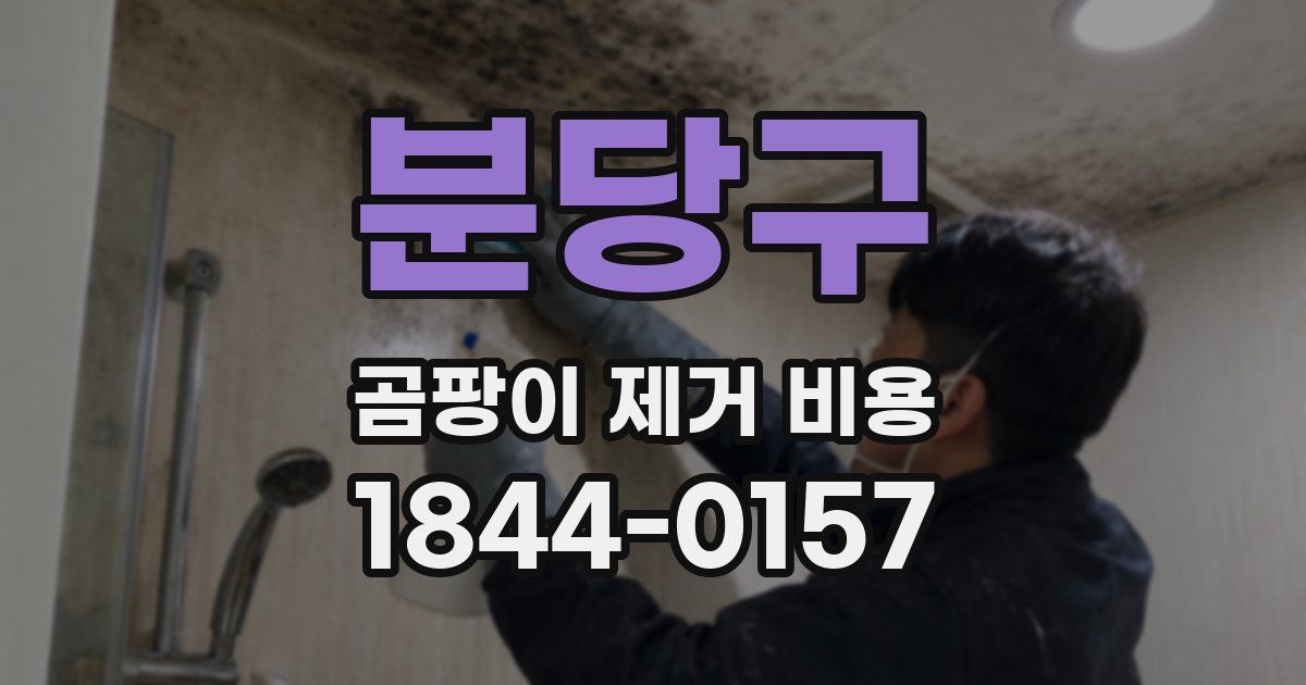 분당구 곰팡이 제거 비용