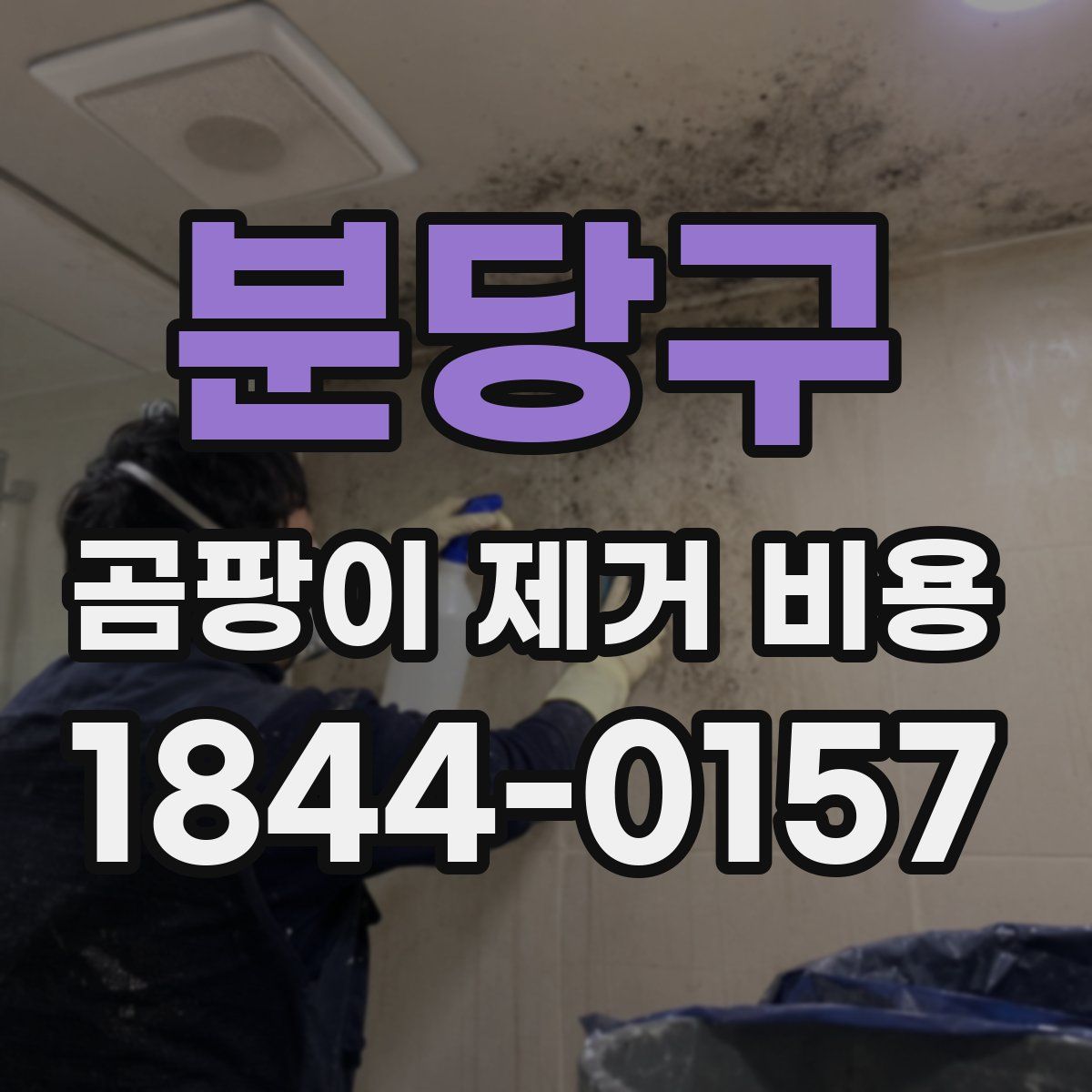 분당구 곰팡이 제거 비용